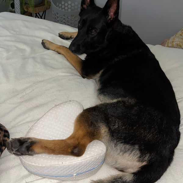 Mailen Rodriguez review image